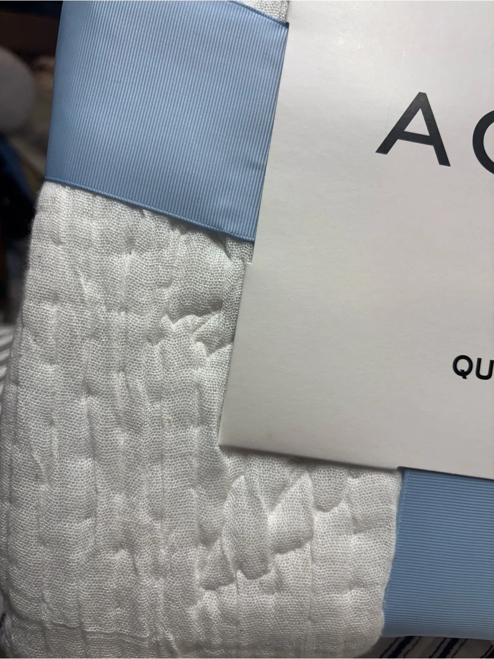 Aqua White Quilted Quilt Set